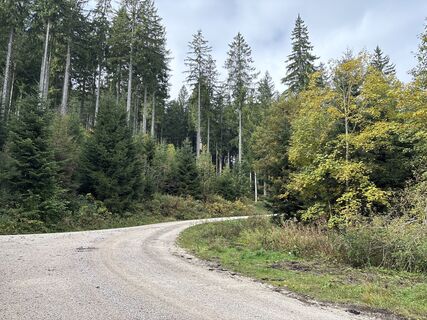Foto von Heinz Sperl entlang der Tour