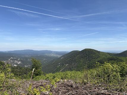 Fotografija s spletne strani NezSari na poti