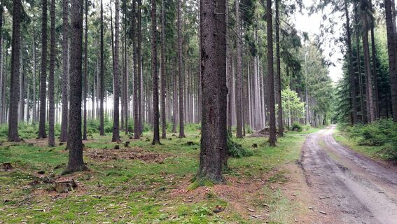 Von Seubtendorf zur Kiebitzenburg
