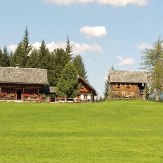 Steinitzenalm