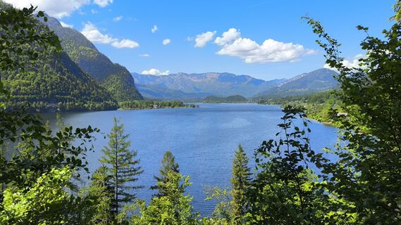 Photo de WilliSt le long du parcours