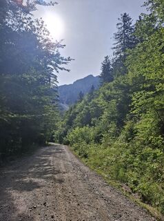 Foto de Miha Gros a lo largo del recorrido