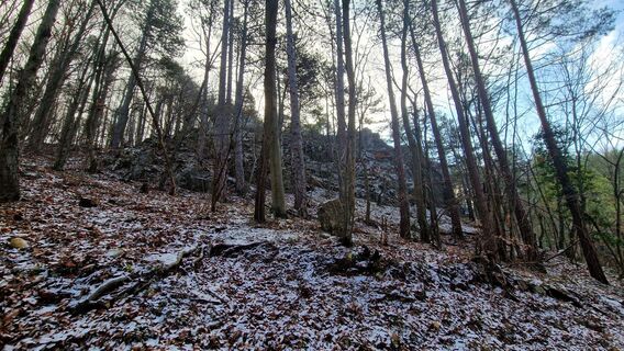 Foto von EP87 entlang der Tour