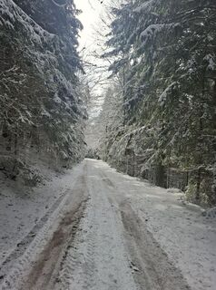 Fotografie z Miha Gros na trase