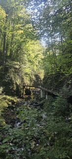 Fotografie z Darija Forgač na trase