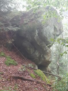 Foto von Jan Wojciechowski entlang der Tour