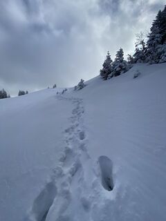 Foto de Sven Krieblin a lo largo del recorrido