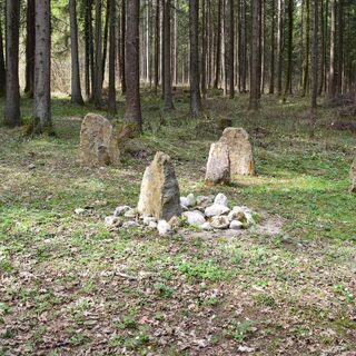 Münster Wald mit Steinkreis