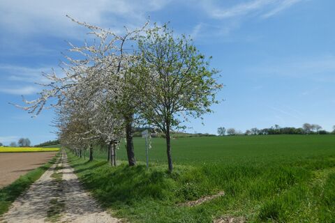Besenhausen