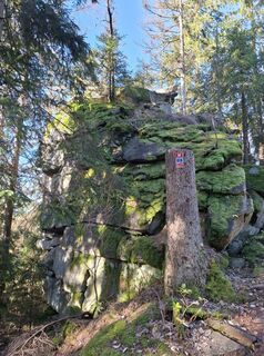 Fotografija s spletne strani Wollomator na poti