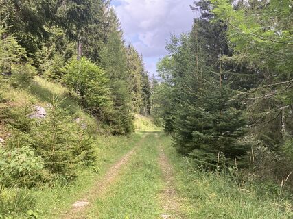 Photo de E F le long du parcours