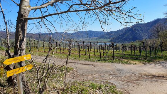 Foto von Egon Anselm entlang der Tour