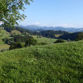 Blick zur Nagelfluhkette