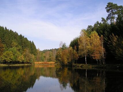 Sägeweiher bei Niederwürzbach