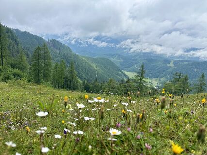 Foto von Dani Geiger / Natur_erleben_dg entlang der Tour