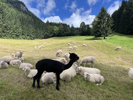 Foto de Bernhard Dr. Rotter a lo largo del recorrido
