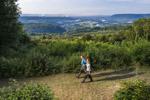 Wandern auf der Traumschleife Beckinger Saarblicke