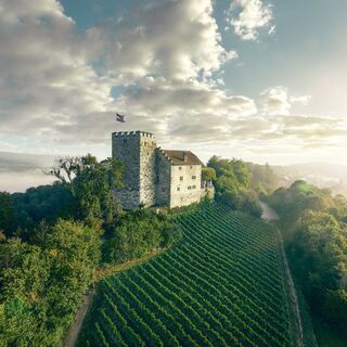 Schloss Habsburg