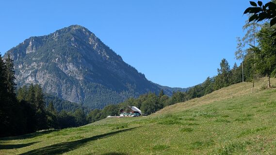 Foto von Pfefferam entlang der Tour