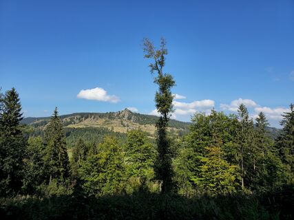 Fotografia z Jana Rudloff na trase