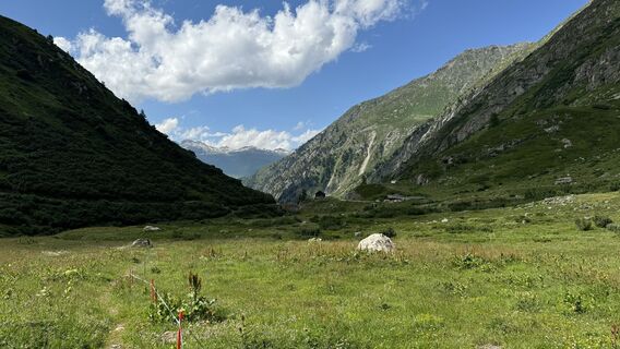 Fotografija s spletne strani peter_oe na poti