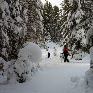 Winterwandern richtung Liegalm