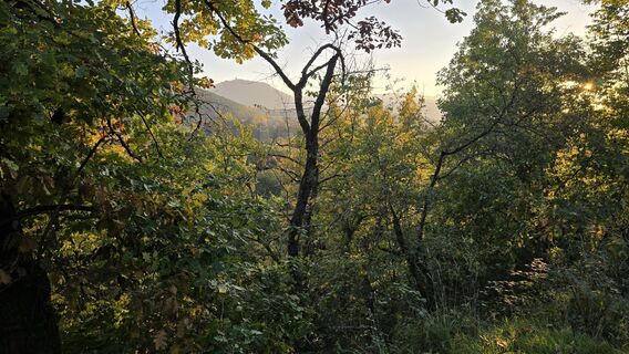 Foto von Katja Senkel entlang der Tour