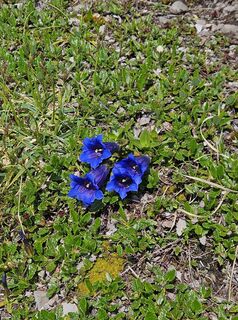 Foto von Mario Nöckl entlang der Tour