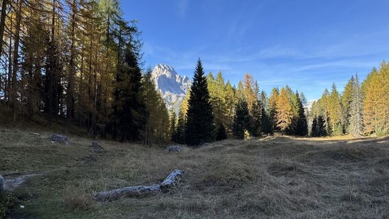 Fotografija s spletne strani ROBERTO BONIOTTI na poti