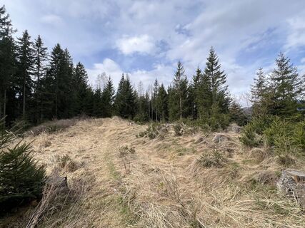 Photo de Anton Gigele le long du parcours