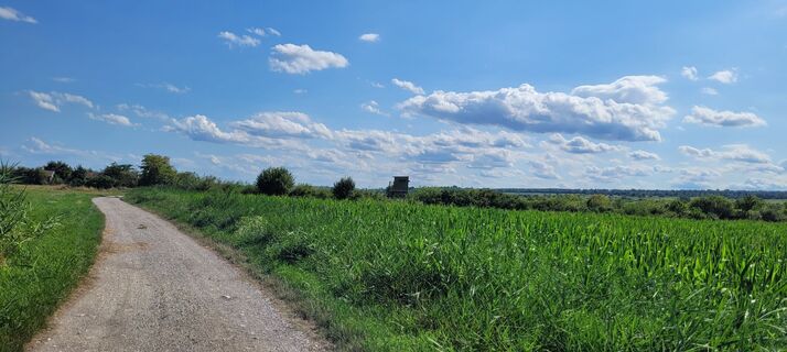 Fotografia z Nicky na trase
