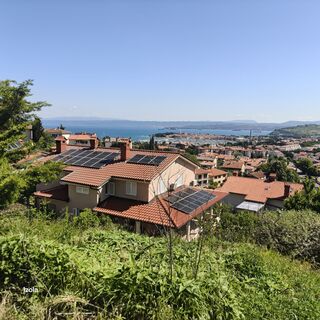 Fotografia z Markus Zweifel na trase