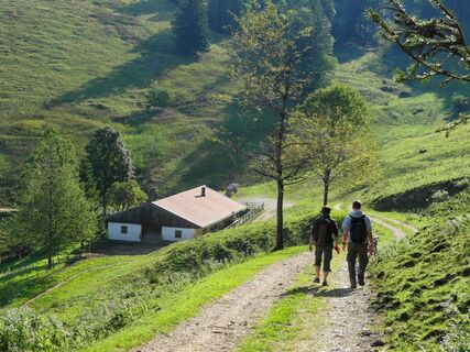 Herrenalm von Hintergschwendt