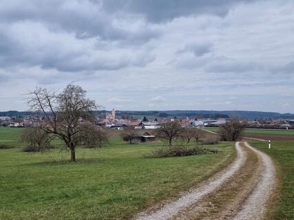 Foto von Felix entlang der Tour