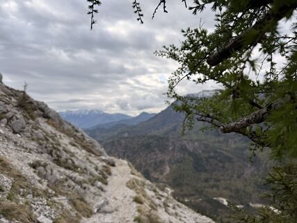 Zdjęcie z Natur_erleben_dg wzdłuż trasy