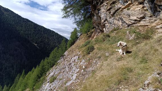 Fotografija s spletne strani Günter Hopfinger na poti