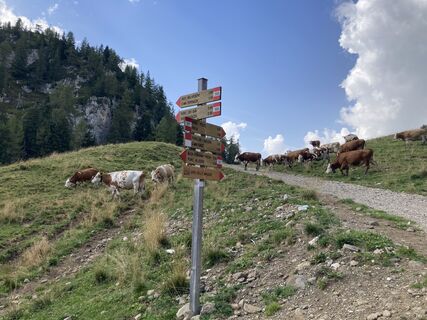 Foto von Marilena Locatelli entlang der Tour