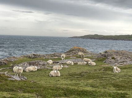 Foto von Michael Knorr entlang der Tour