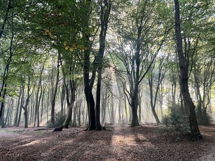 Photo de Marleen Blomsma le long du parcours