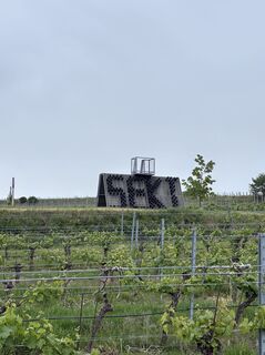 Foto von Alexandra Wasserbauer entlang der Tour