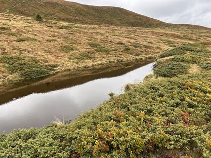 Foto från Karl Heinz Fick under resans gång