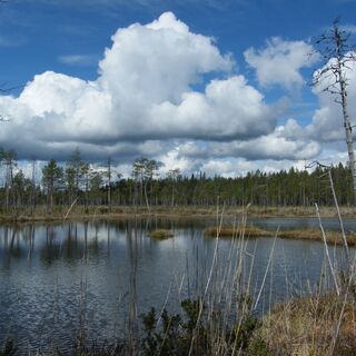 Rytisuo im Nationalpark Oulanka