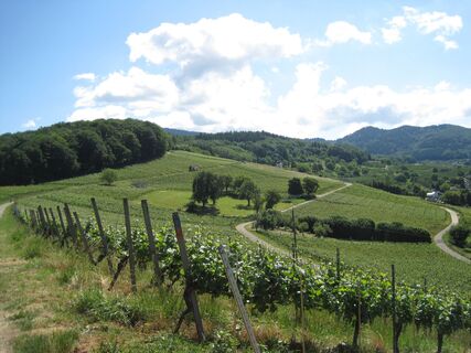 Stalten 6