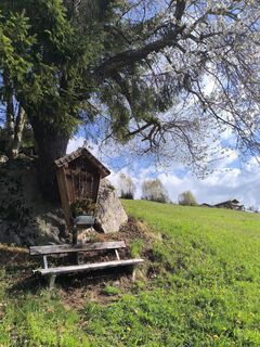 Foto von Tobias Peschanel entlang der Tour