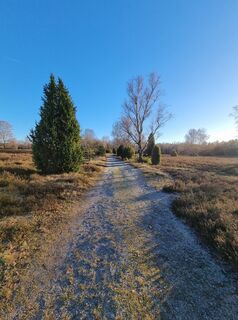 Foto de Andreas Mohr a lo largo del recorrido