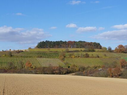 Blick auf den Hermannsberg