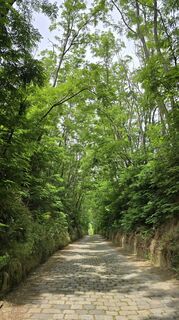 Fotografija s spletne strani Hieu Duc Tram na poti