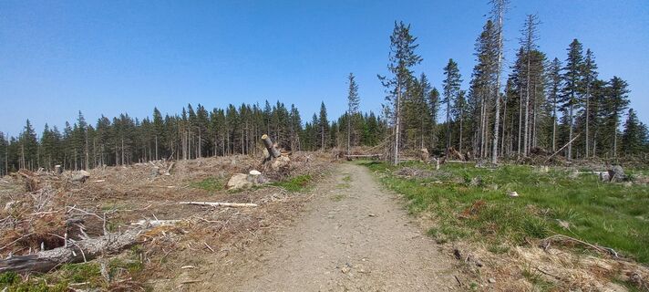 Fotografia z Erwin Rath na trase