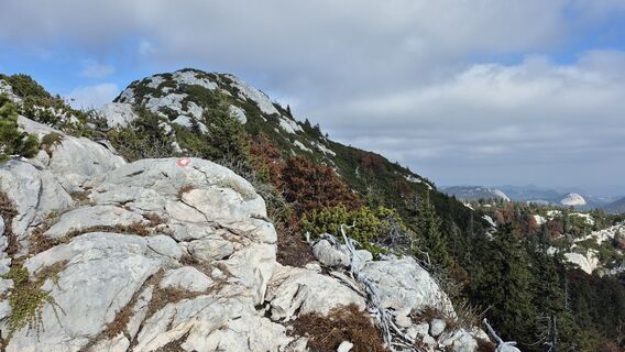 Foto fra Miha Znidarsic underveis på turen