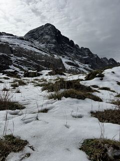 Photo de Niels Kooijman le long du parcours